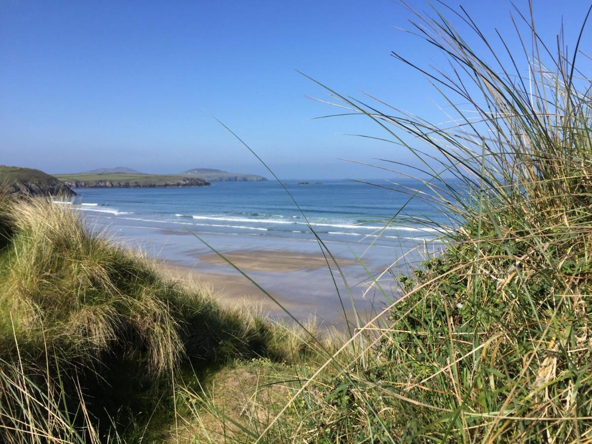 Craig-Y-Mor Suites With Sea Views Whitesands St Davids Exteriör bild