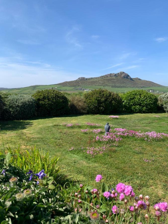Craig-Y-Mor Suites With Sea Views Whitesands St Davids Exteriör bild